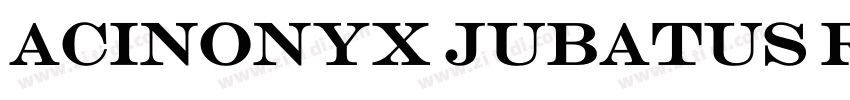 Acinonyx Jubatus Reg字体转换